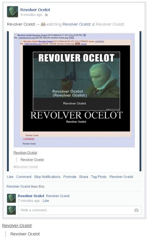 Revolver+ocelot_2cfe74_5665297.jpg