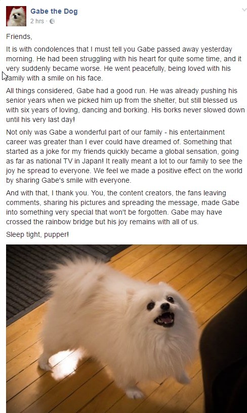 Rip+gabe+the+dog+f_7005ae_6153765.jpg