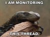 MonitorLizard.jpg