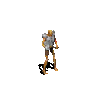 ezgif.com-gif-maker(1).gif