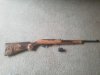 Ruger 10-22 Carbine - Tiger.jpg