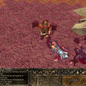 AoD combat screenshot