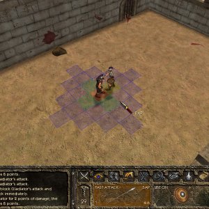 Maadoran Arena Screenshot 2