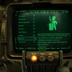 Pipboy Skills