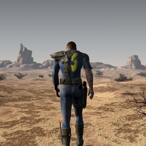 Media 'The Vault Dweller walks into the sunset' in album 'Concept Art/Images'