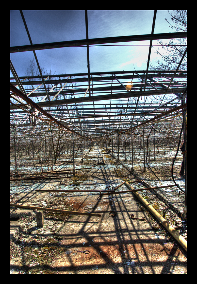 Greenhouses I