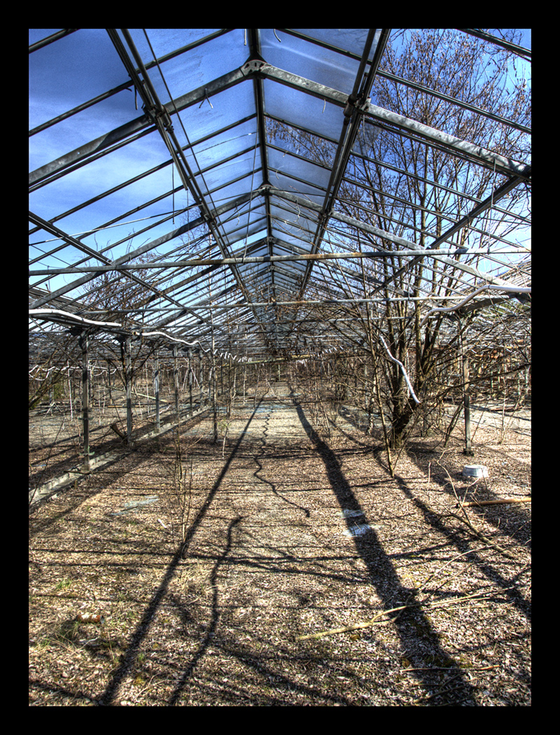 Greenhouses V