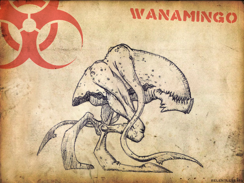 Wanamingo Concept