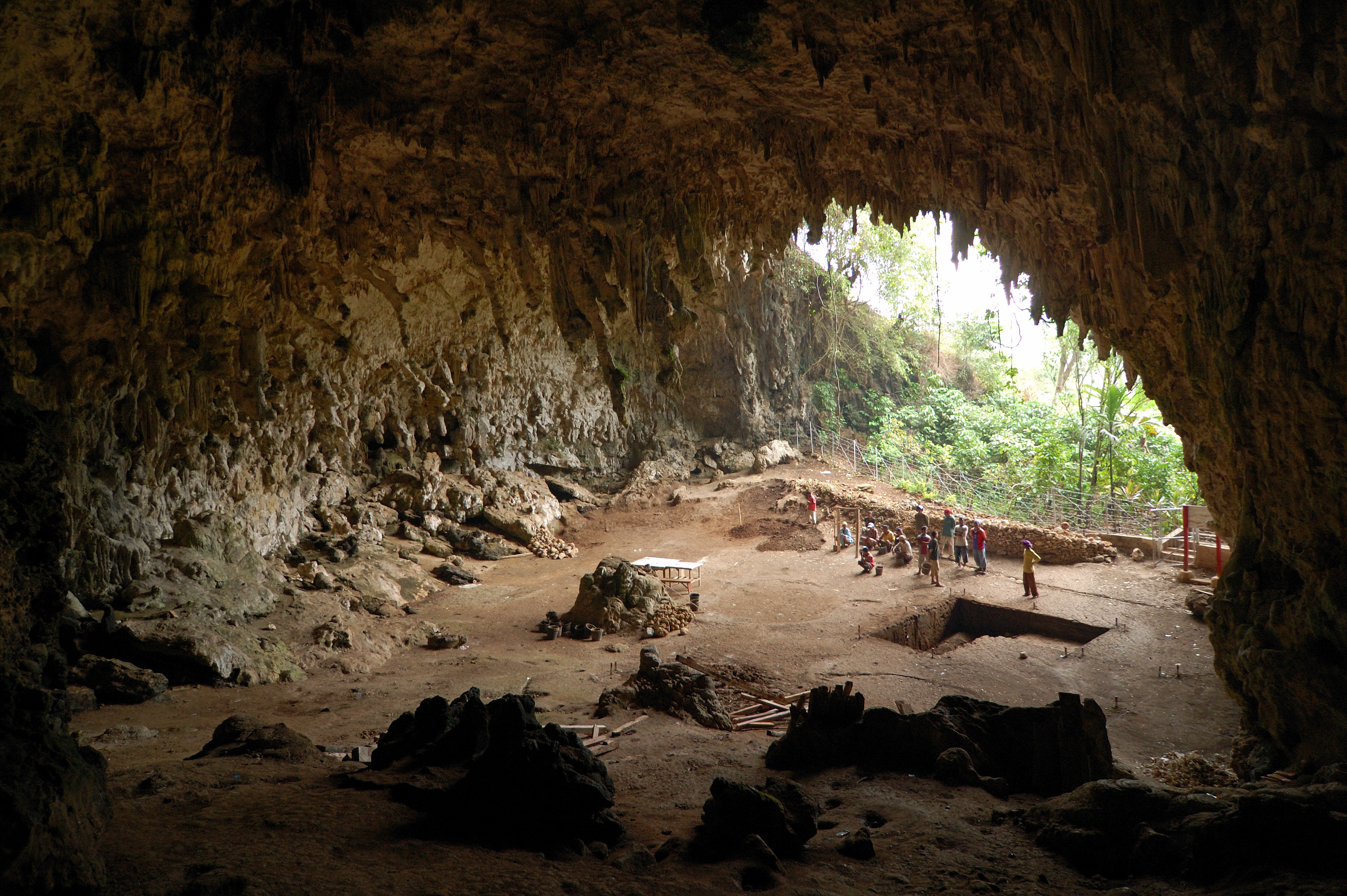 Homo_floresiensis_cave.jpg