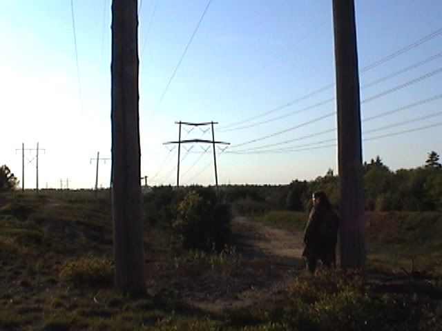 powerlines.jpg