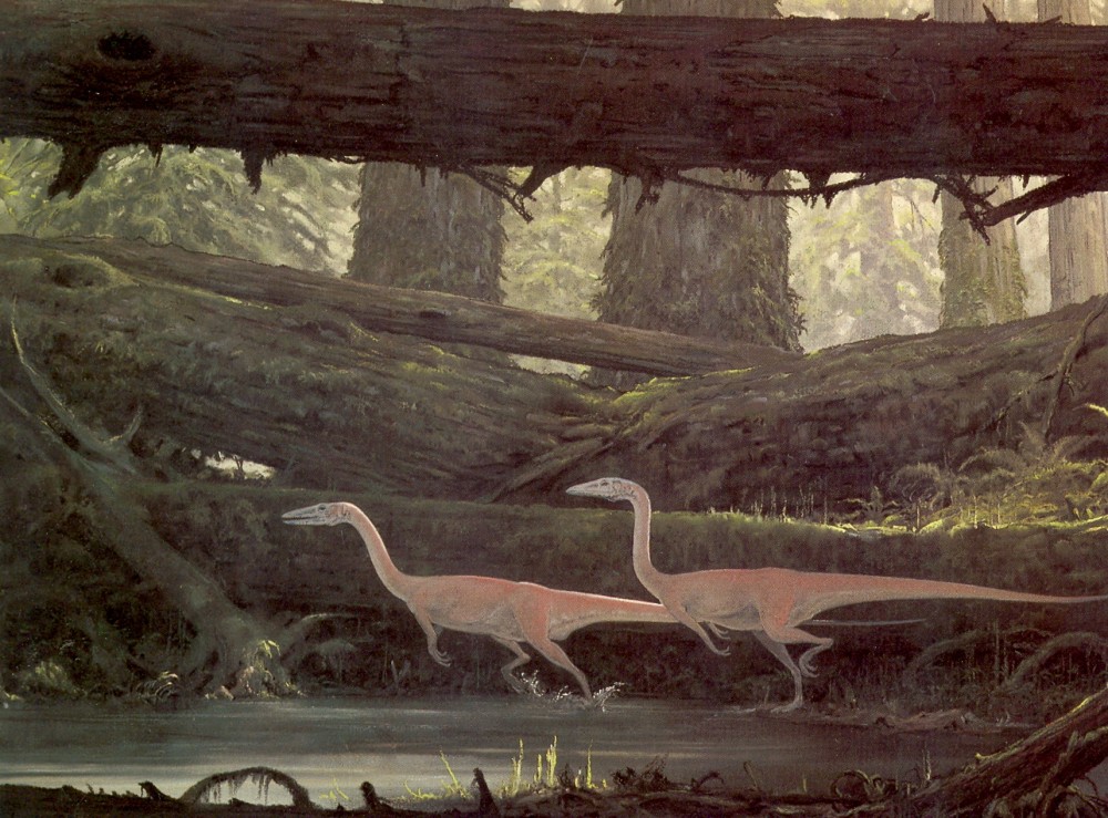 Henderson-Coelophysis-1000x739.jpg