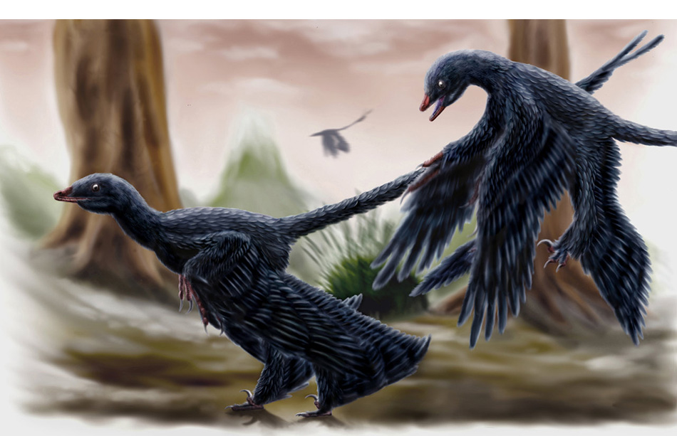 Microraptor-2-by-durbed.jpg