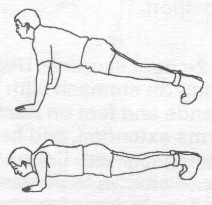 pushup.jpg