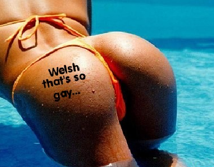 welsh.png