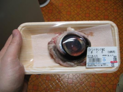 eyeball1tuna.jpg