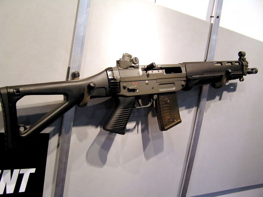 Sig551swat-2.jpg