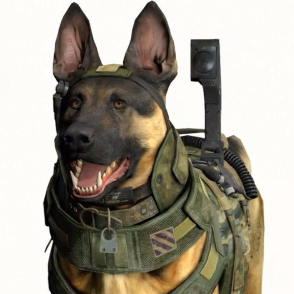 Call-of-Duty-Ghosts-Hero-Dog.jpg