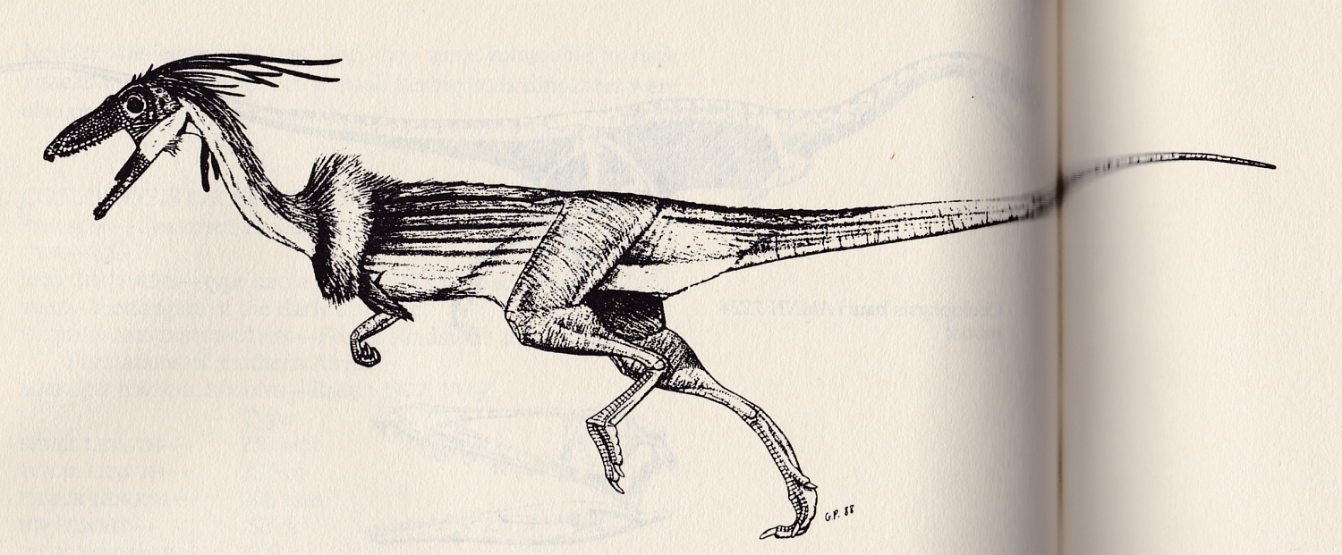 Coelophysis.jpg