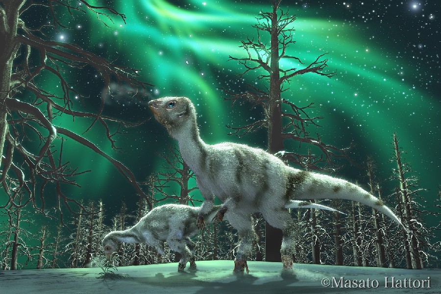 Leaellynasaura_new_118a.jpg