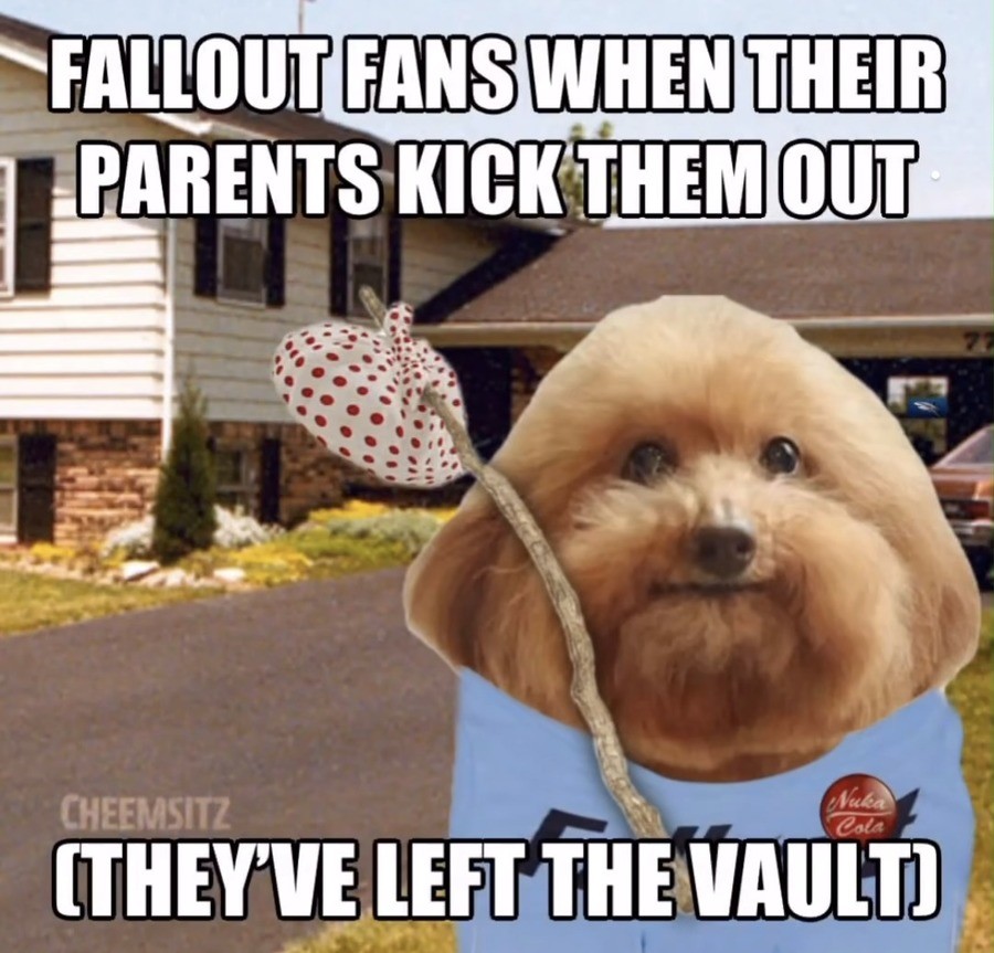 Fallout+fans+be+like_5c5293_11596099.jpg