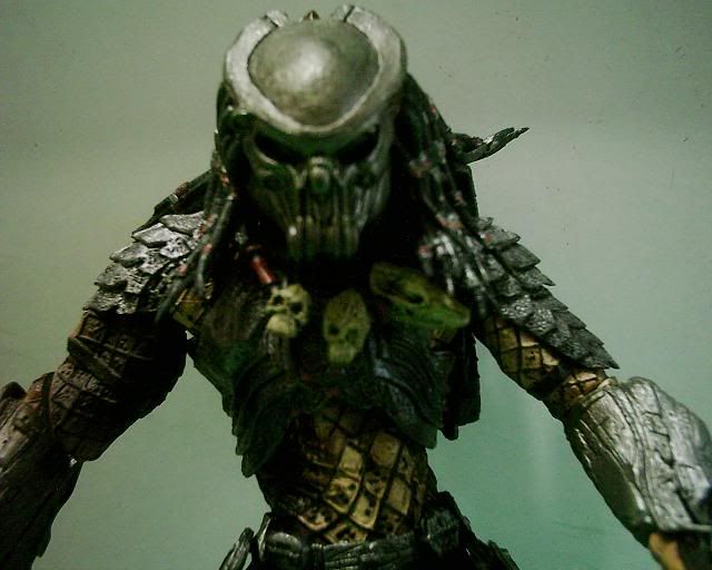 Predator-1.jpg