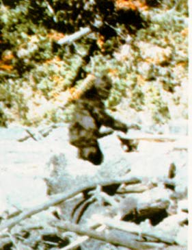 bigfoot.jpg